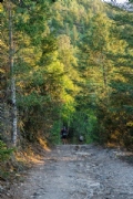 L3618239