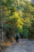 L3618436