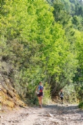 Y3618270