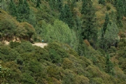 C3621854