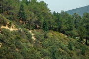 C3622126