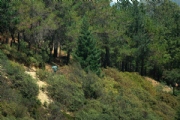 C3622211