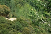 C3622290