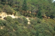 D3621630