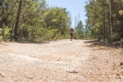 H3620849