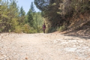 H3621143