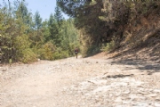H3621433