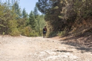 H3621516