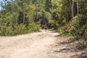 H3622101