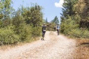 N3621140
