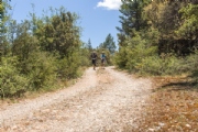 N3621527