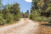 N3621724