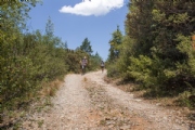 N3622307