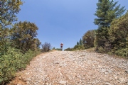 P3621033