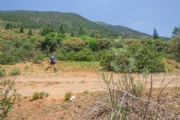 Q3621390