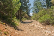R3620981