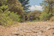 R3622088
