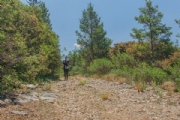 T3620936