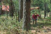 Y3621360
