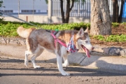 F3578939