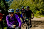 D3589789
