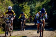 E3589180