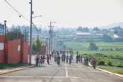 I3593132