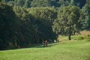J3591364