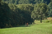 J3591393