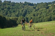 J3591610