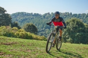 L3592908