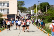 Y3593506