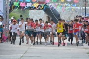 Q3585192