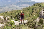 V3587327