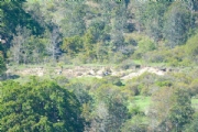 D3586215
