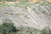 O3585652