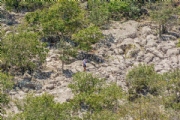 R3586505