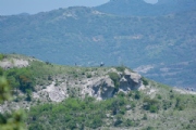 S3585799