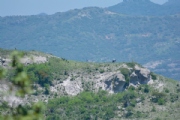 S3585832