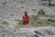 S3586126