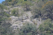 S3586180