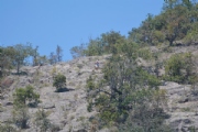 S3586195