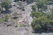 S3586267