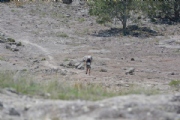 S3586611