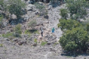 T3586324