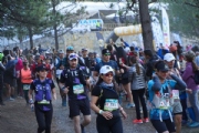 O3628489