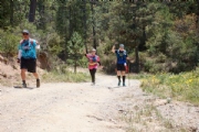 W3614872