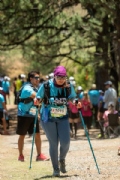T3611638
