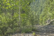 A3626243