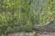 A3626249